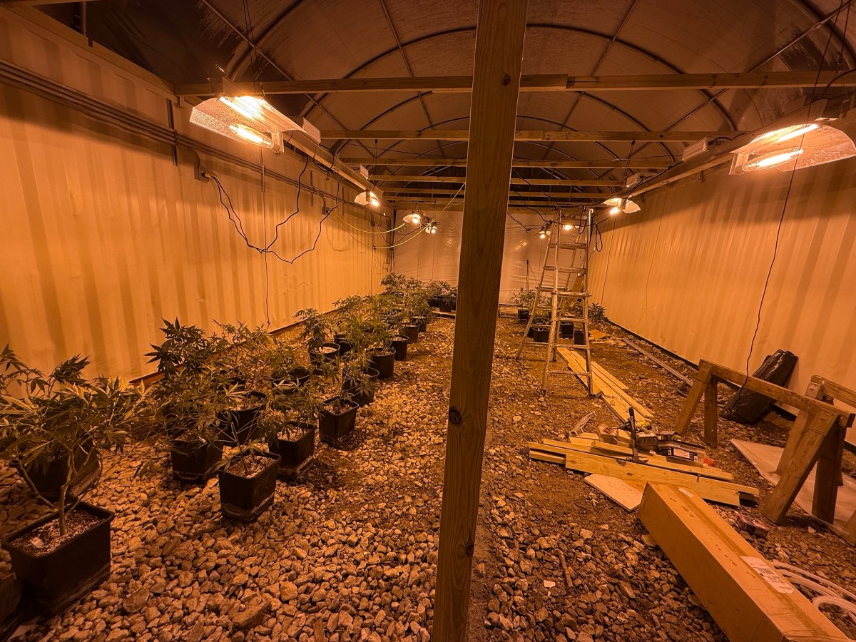 New Green House early&nbsp;stages